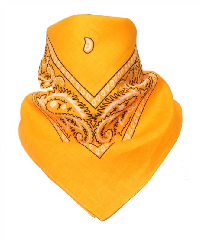 100 Cotton Paisley Bandanas Double Sided Handkerchief Headscarf For