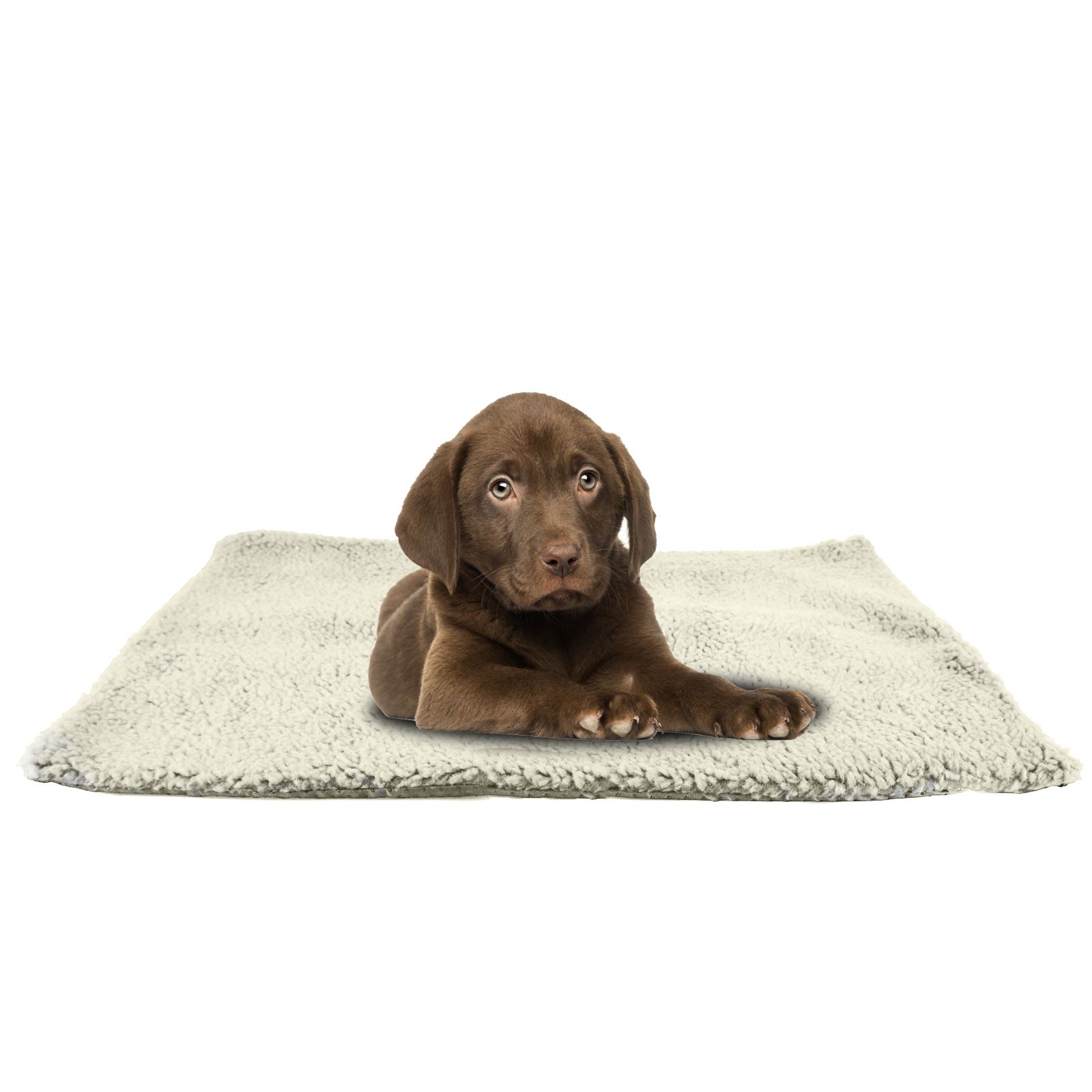Luxury Pet Cat Dog Rug Mat 46cmx64cm Self Heating Warm Thermal Machine