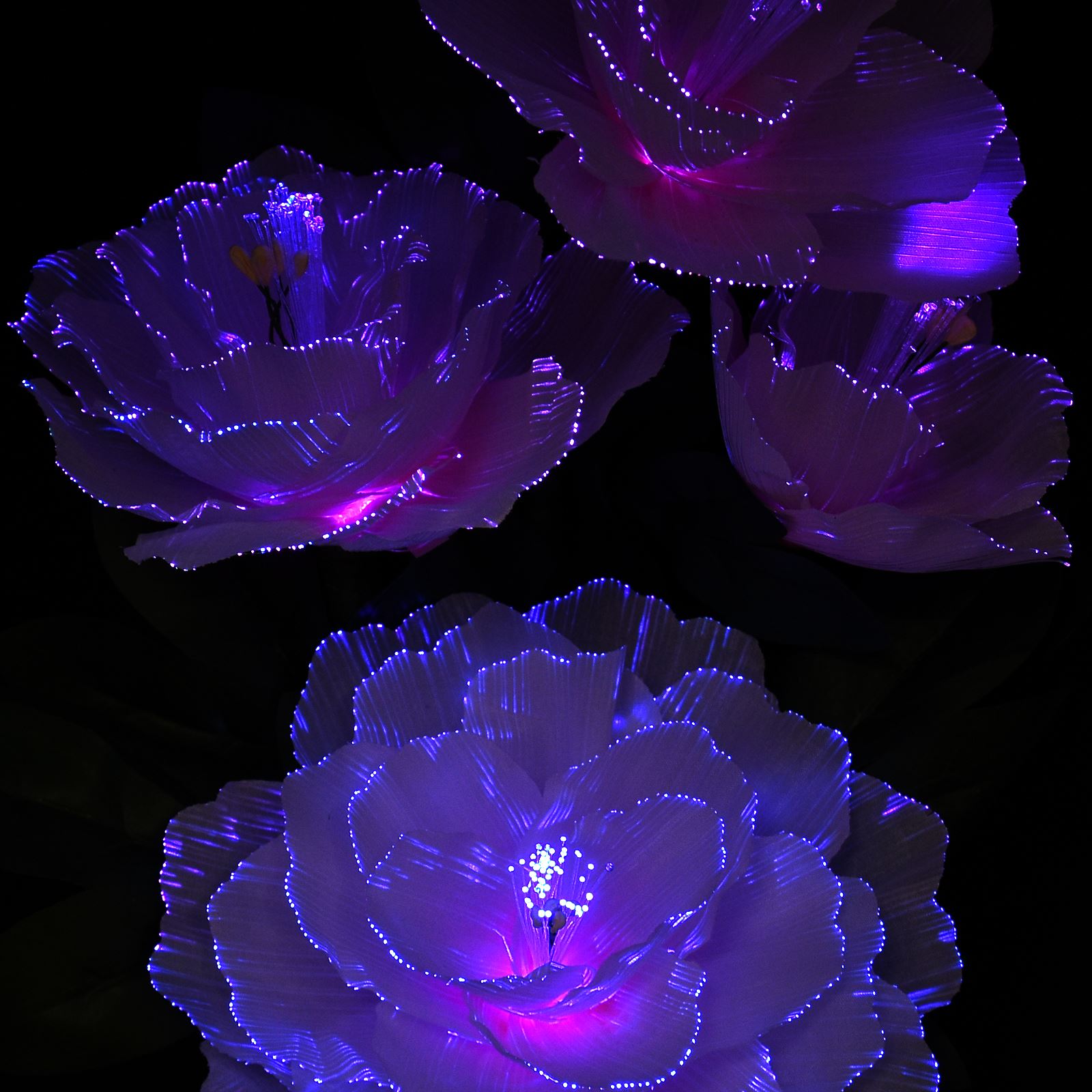 RGB Colour Changing LED Fibre Optic Flower Vase Display Table Lamp Mood