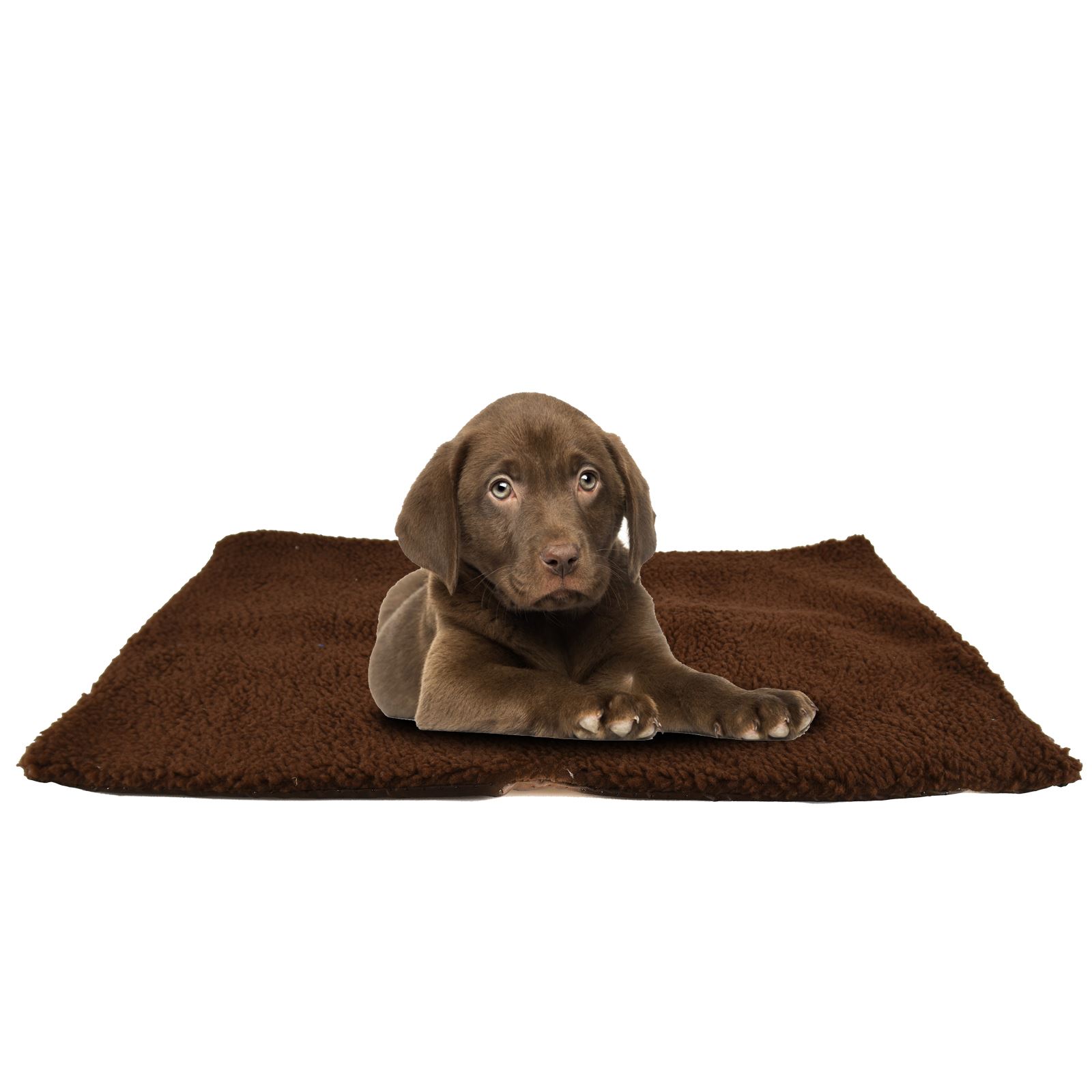 Luxury Pet Cat Dog Rug Mat 46cmx64cm Self Heating Warm Thermal Machine