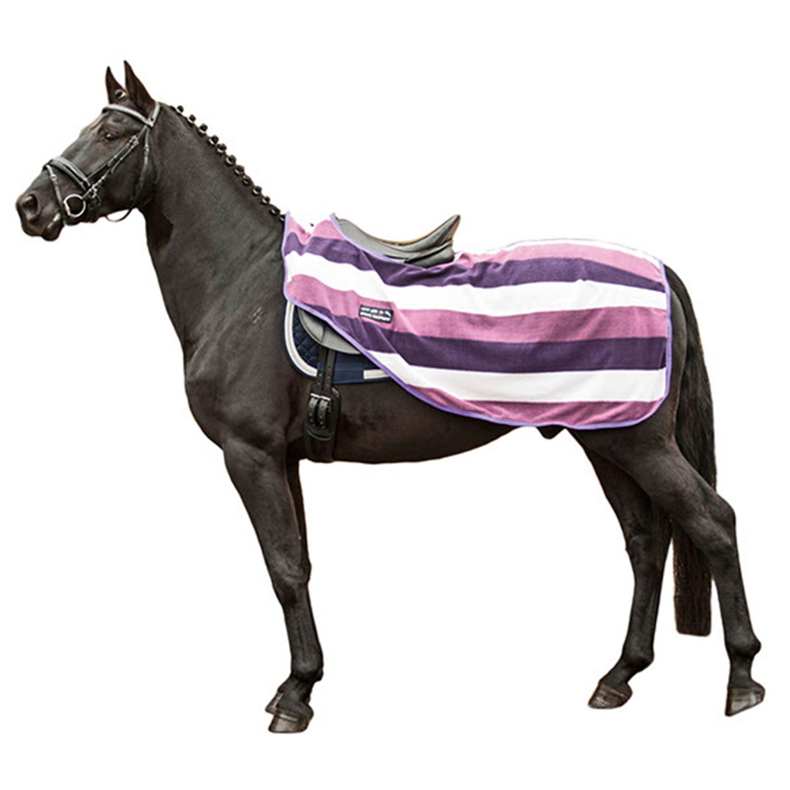 HKM Exercise Sheet Fashion Stripes Velcro Tail Strap Horse Protection Blanket eBay