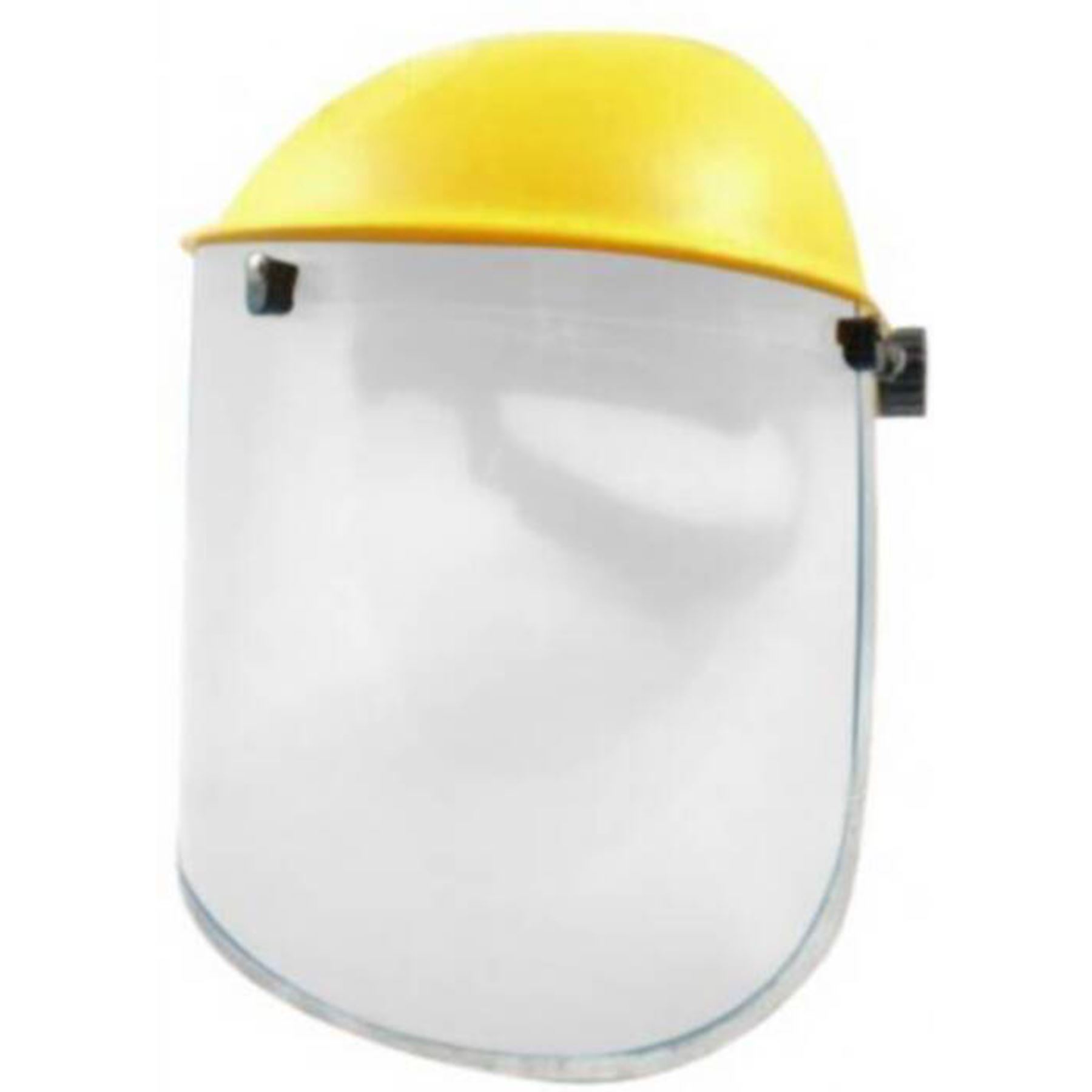 Full Face Safety Mask Glasses Visor Screen Strimmer Chainsaw