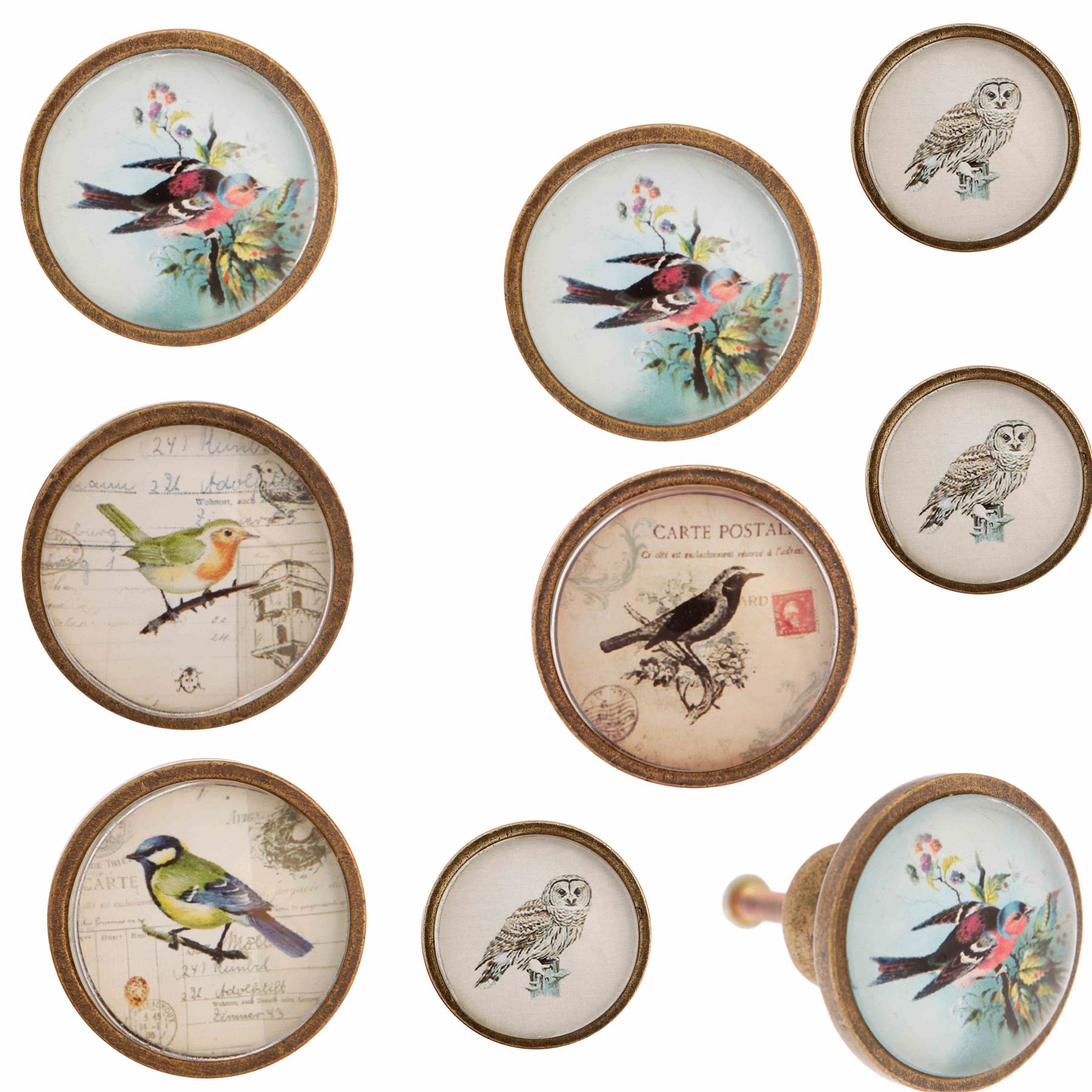 VINTAGE PAINTED BIRDS DOOR KNOBS ANTIQUE ILLUSTRATED PULLS FURNITURE