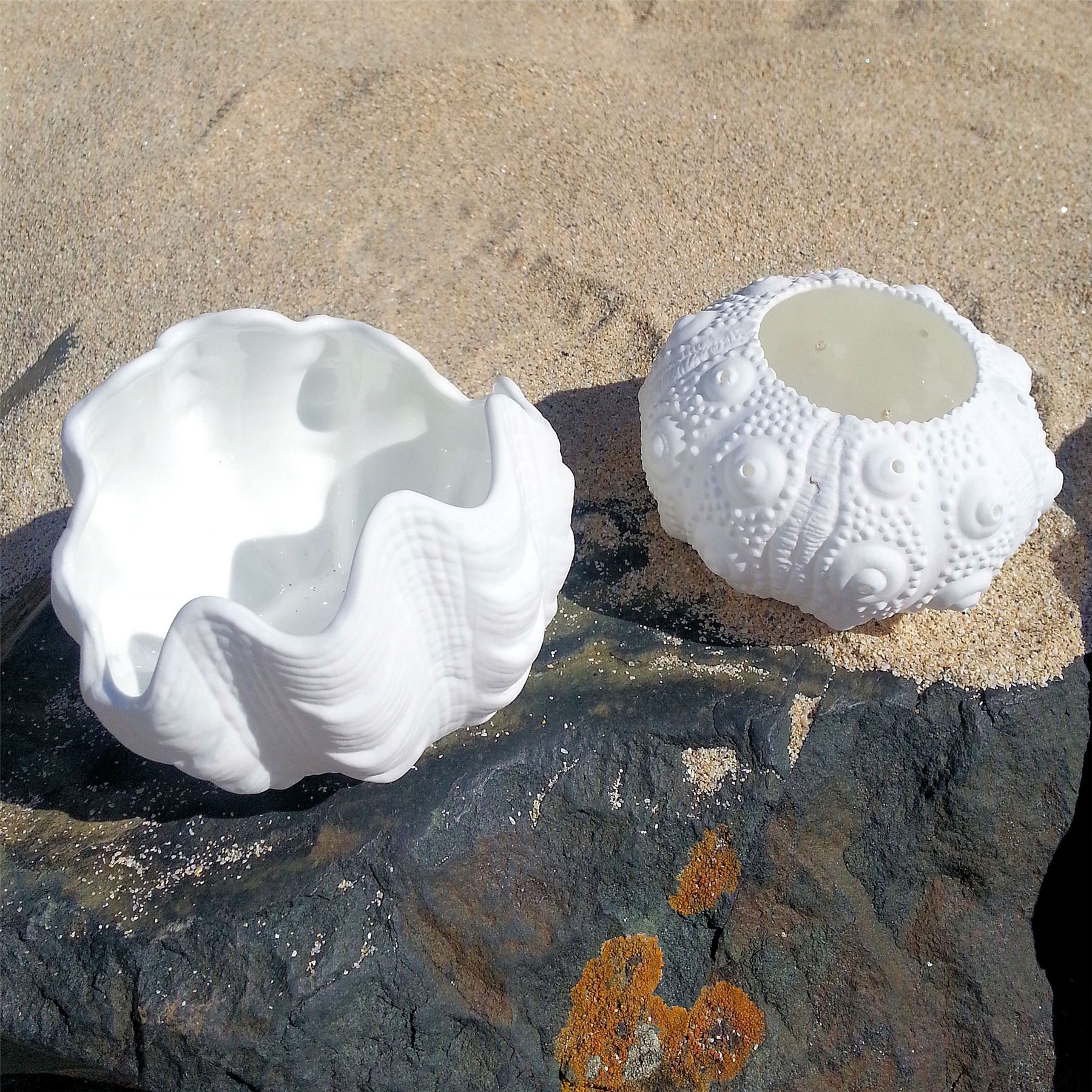 NAUTICAL WHITE VOTIVE TEA LIGHT HOLDER CERAMIC SHELL COASTAL DECOR 2