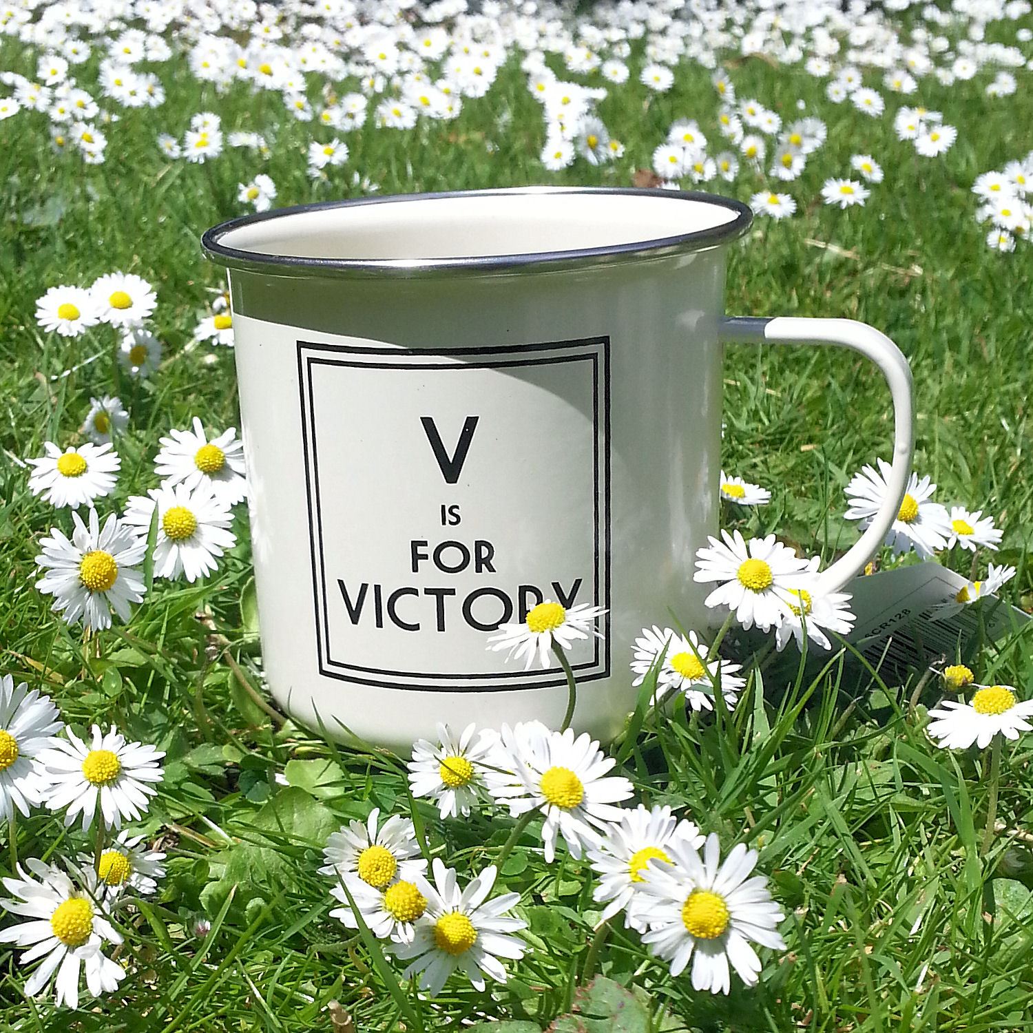 Lots of MUGS Enamel Tin Metal Cups OUTDOOR GARDENING CAMPING MUM DAD FRIEND GIFT - Picture 20 of 25
