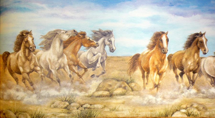 WILDE PFERDE BORDÜRE KINDER SCHLAFZIMMER 5M LANG FÜR PONY