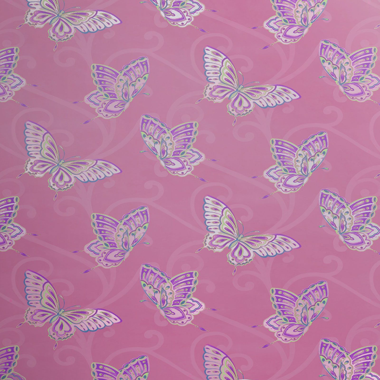 Camera da letto bambina farfalla carta parati colore rosa,bianco ...