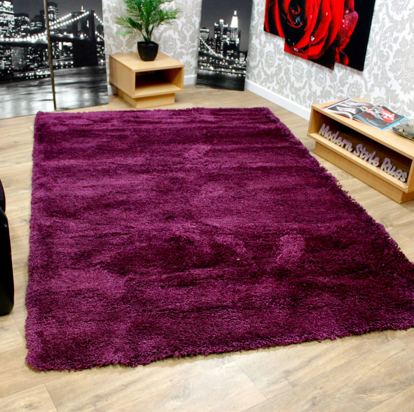 Soft Touch Modern Contemporary Extra Large Quality Purple Rug 160x230cm