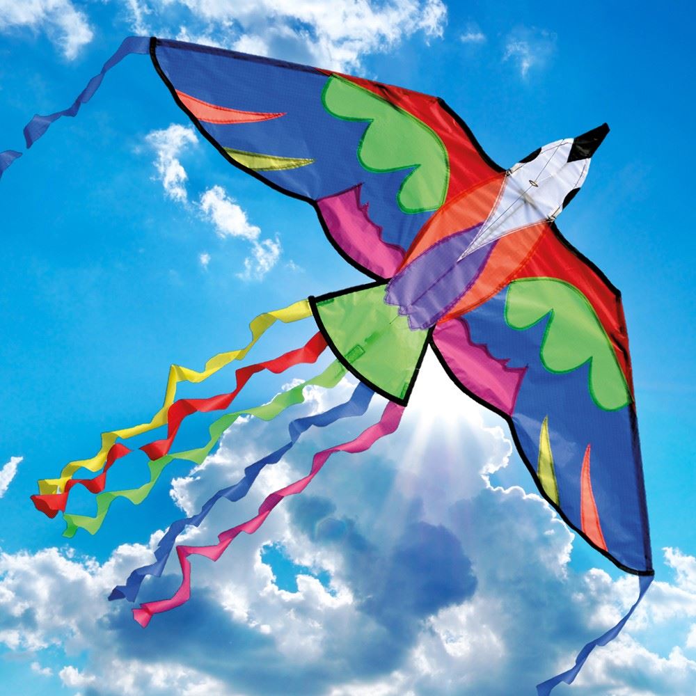 Brookite Animal Bird Single Line Kids Fibreglass Frame Nylon Kite Kites eBay