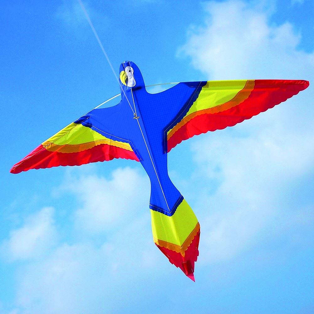 Brookite Animal Bird Single Line Kids Fibreglass Frame Nylon Kite Kites eBay