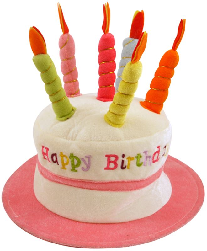 Happy Birthday Cake Hat With Candles Plush Fancy Dress Novelty Party eBay