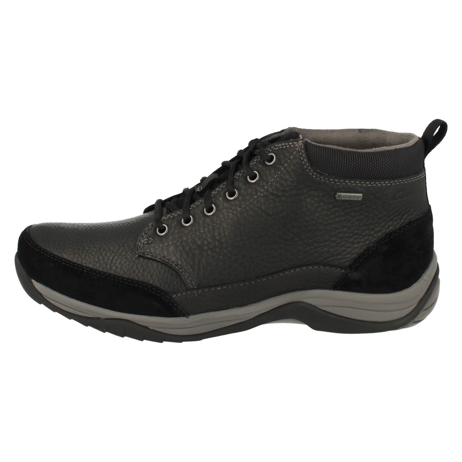 dinosaur chuck taylors adults