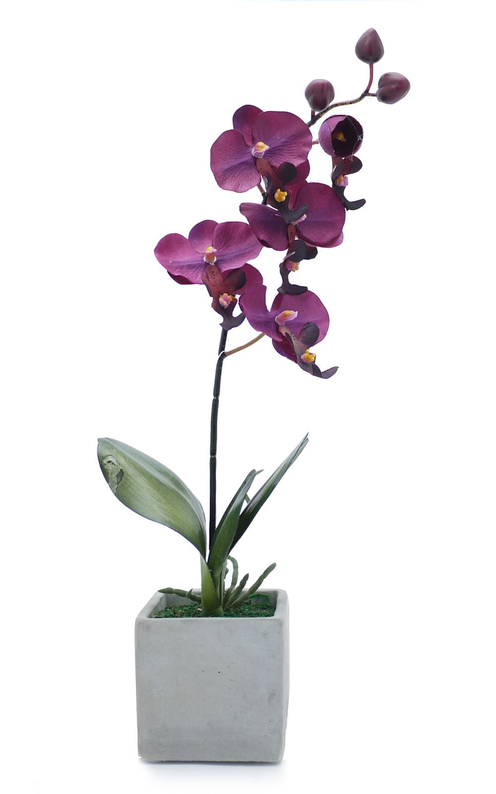 Artificial Potted Plant Orchid in Stone Pot Houseplant Office Indoor