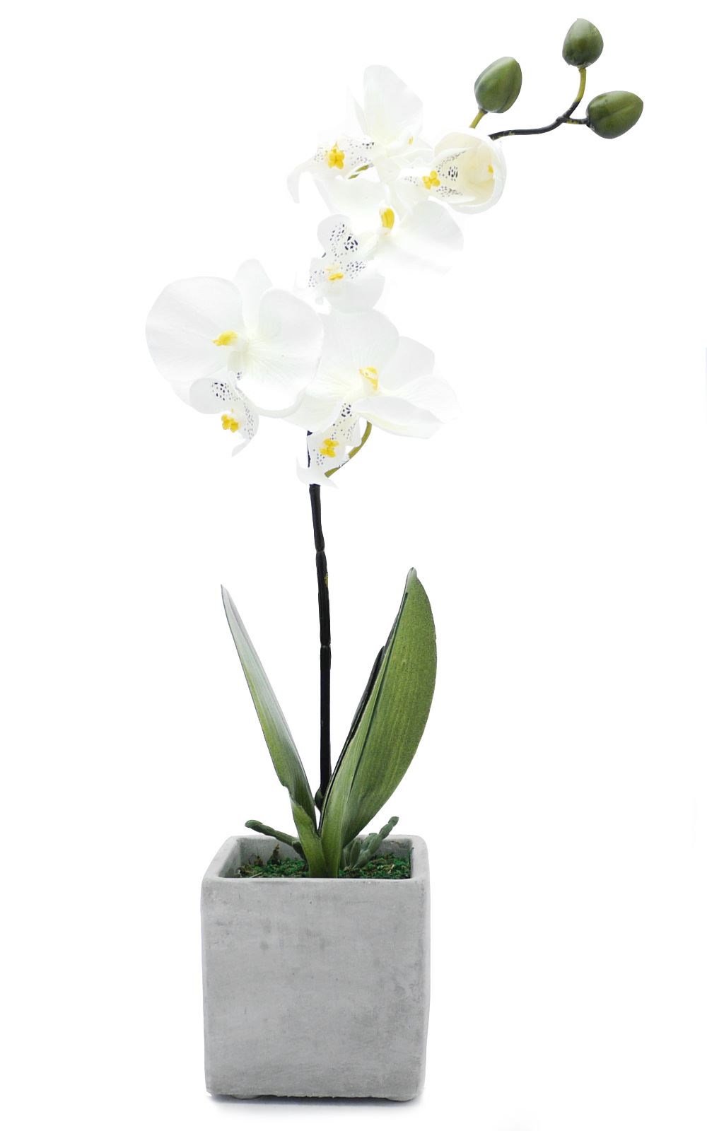 Artificial Potted Plant Orchid in Stone Pot Houseplant Office Indoor