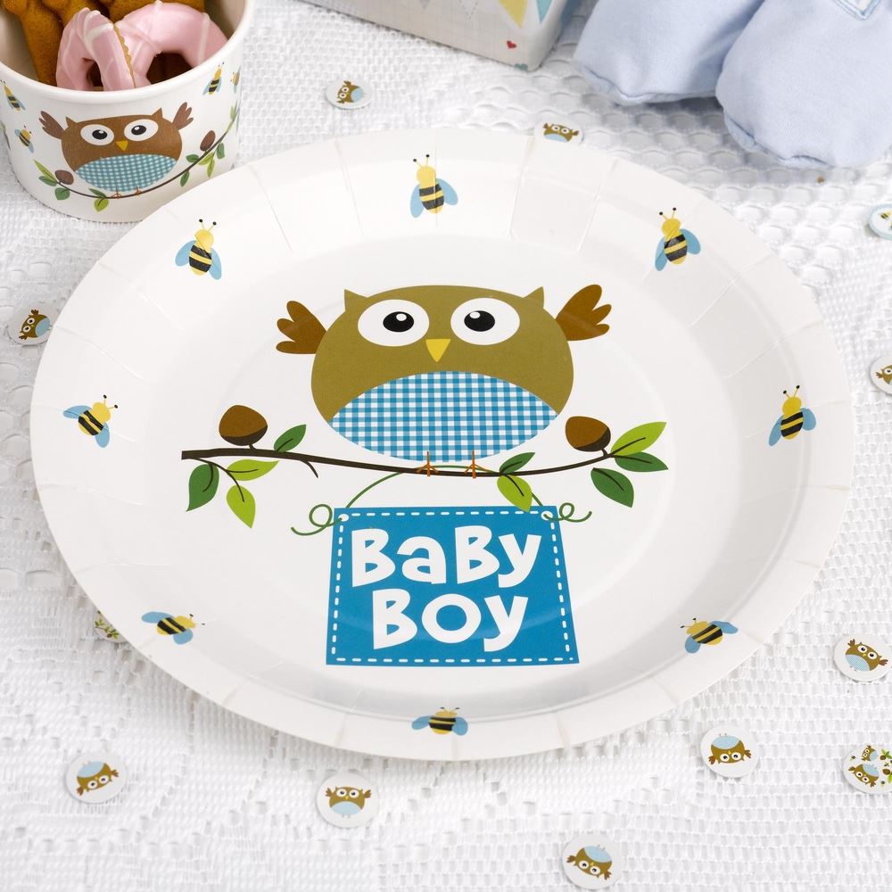 8 LITTLE OWLS PAPER PLATES BABY SHOWER DECORATION TABLEWARE PARTY PARTYWARE 23CM | eBay