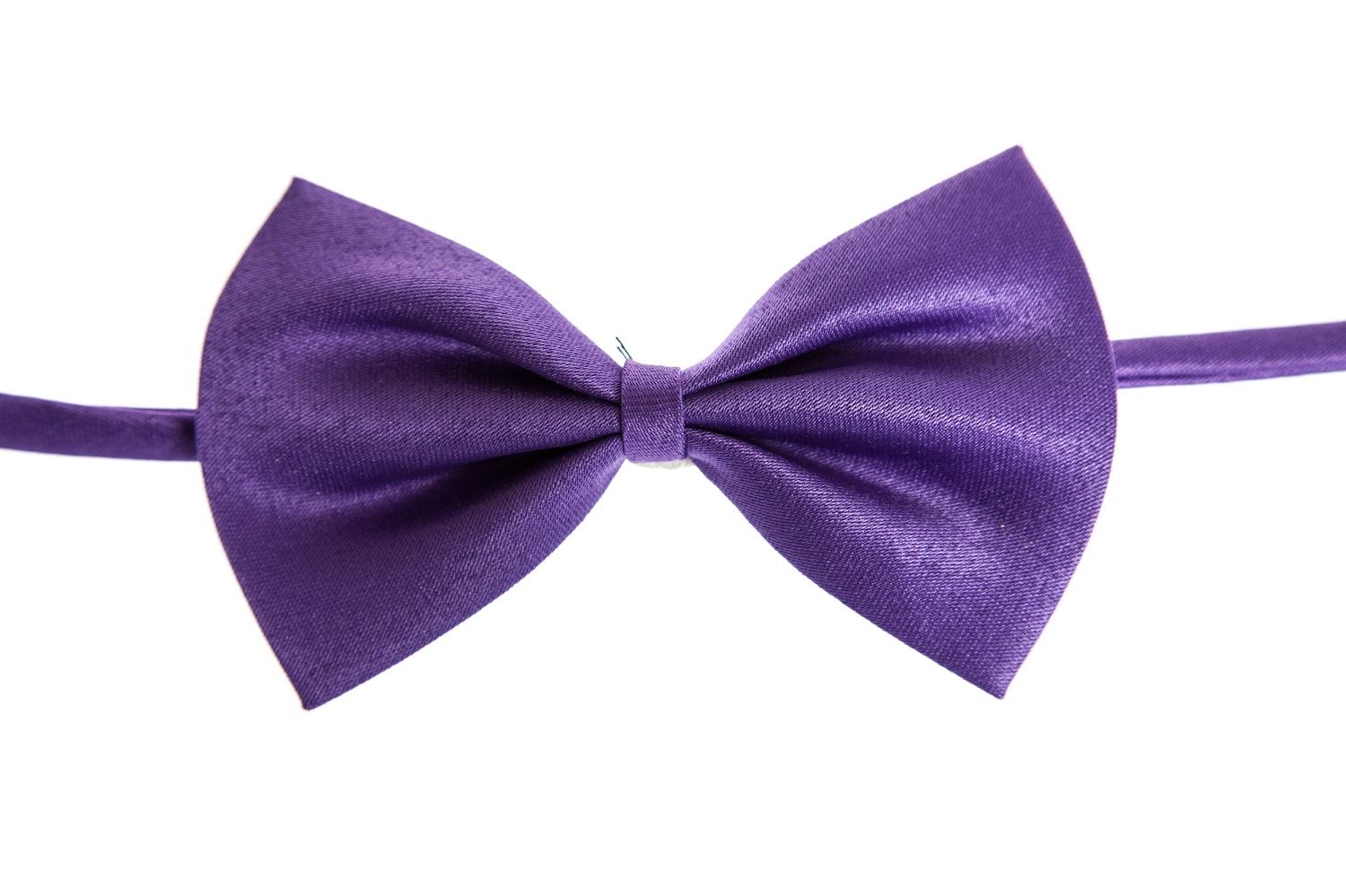 Cat Collar Tie Uk Cat Collar Tie Uk