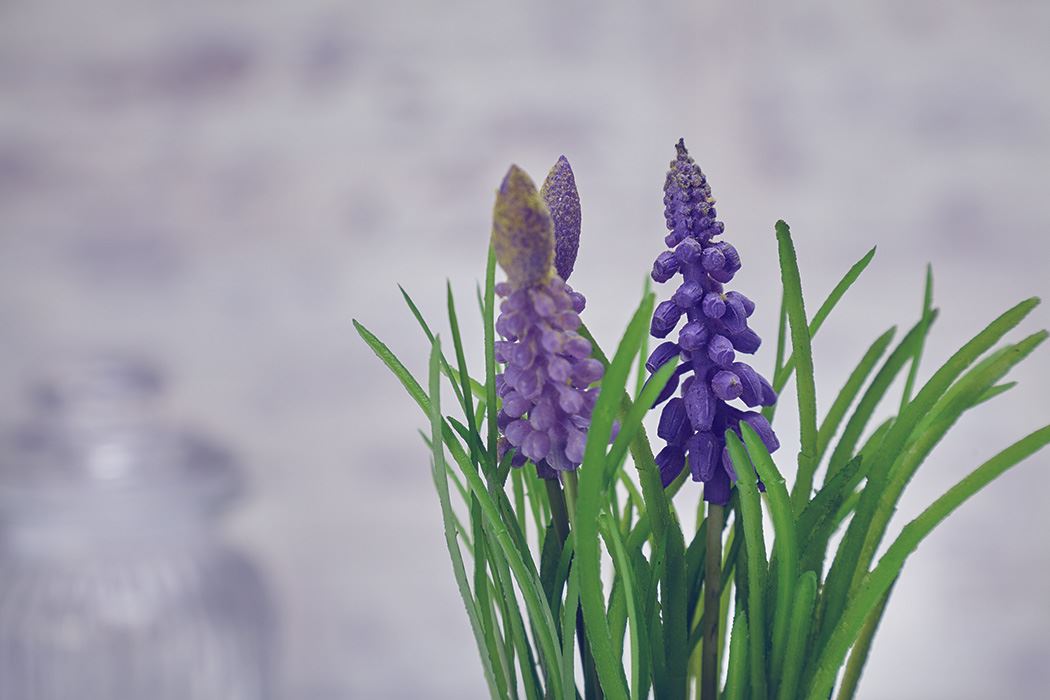 Artificial Grape Hyacinths Flowers Plants Garden Home in Pot Blue