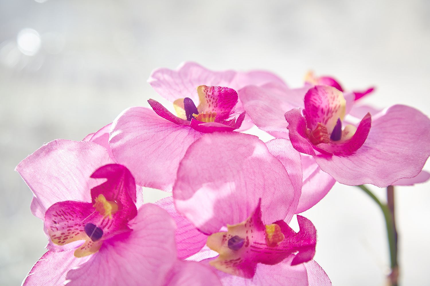 Artificial Orchid Flowers Plants in Pot Home Decor Garden Fuchsia, Pink & White eBay