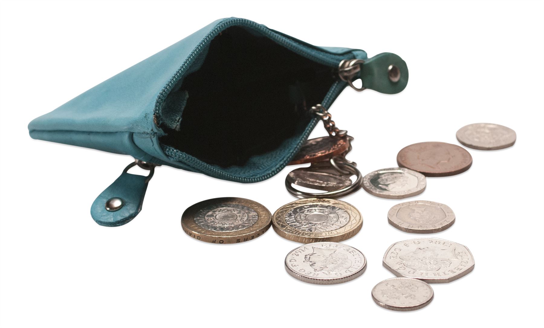 Coin Purse 5e Literacy Basics