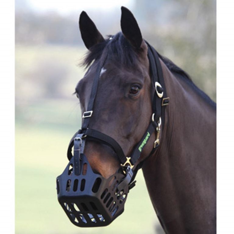 Shires Greenguard Horse Pony Grazing Muzzle / Mask Pony, Cob, Full eBay