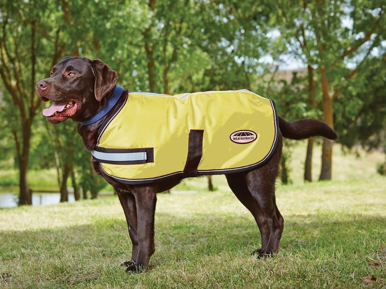 Weatherbeeta Hi Viz Reflective Dog Coat Rug All Sizes eBay