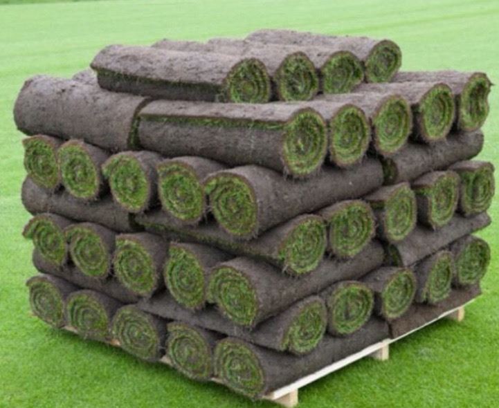 Premium Turf Grass Natural Real Grass Evergreen 400 x 2500mm Roll eBay