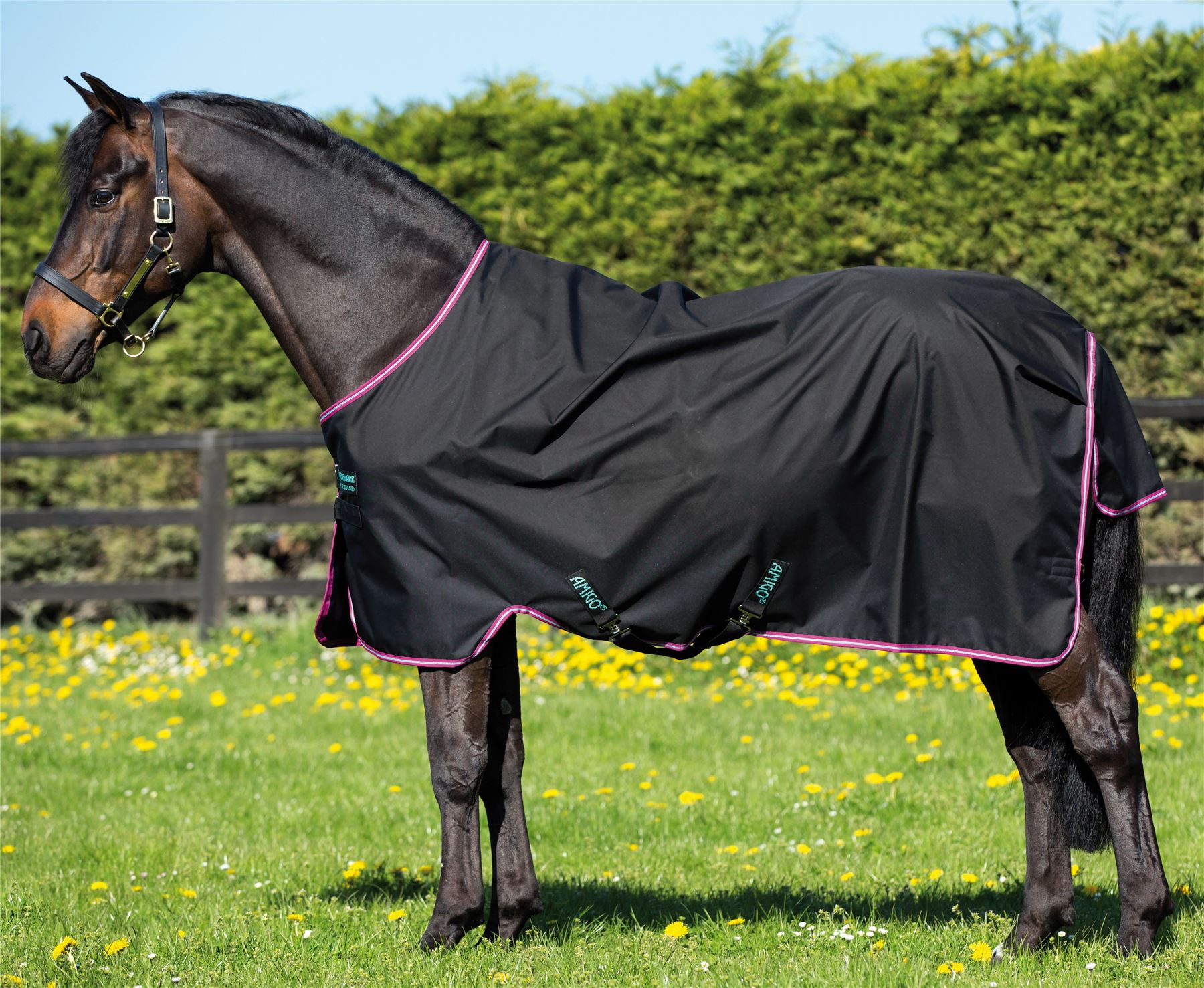 Horseware Ireland Amigo Hero6 Turnout Rug Lite 0g with Leg Arches AARA71