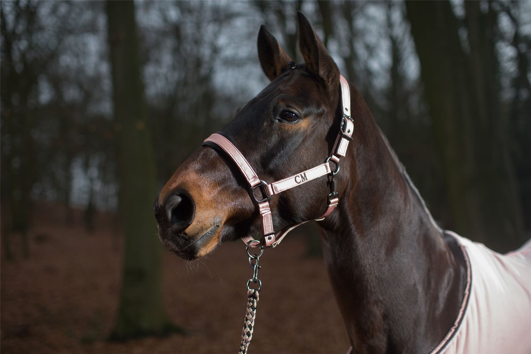 HKM Nylon Halter Copper Kiss Headcollar horse riding control leading