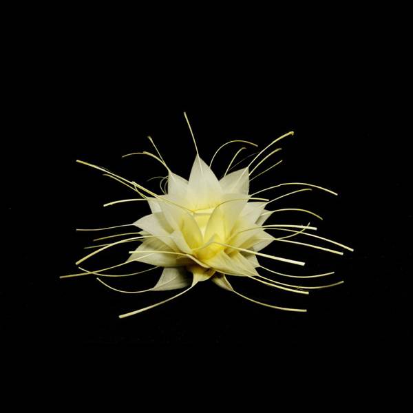 Feather Flower Thistle Bud FL026 - For fascinators, hats & craft use. - Picture 25 of 31