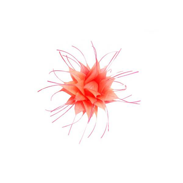 Feather Flower Thistle Bud FL026 - For fascinators, hats & craft use. - Picture 11 of 31