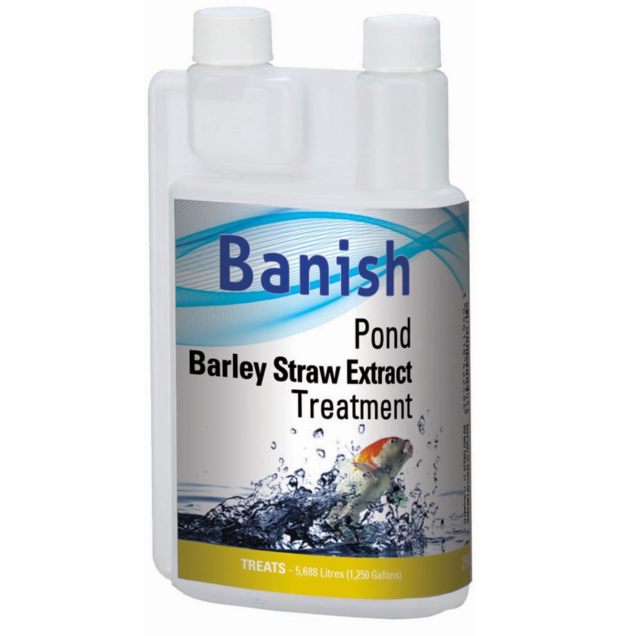 Banish Pond Barley Straw Natural Treatment For Green Water Algae Blanketweed