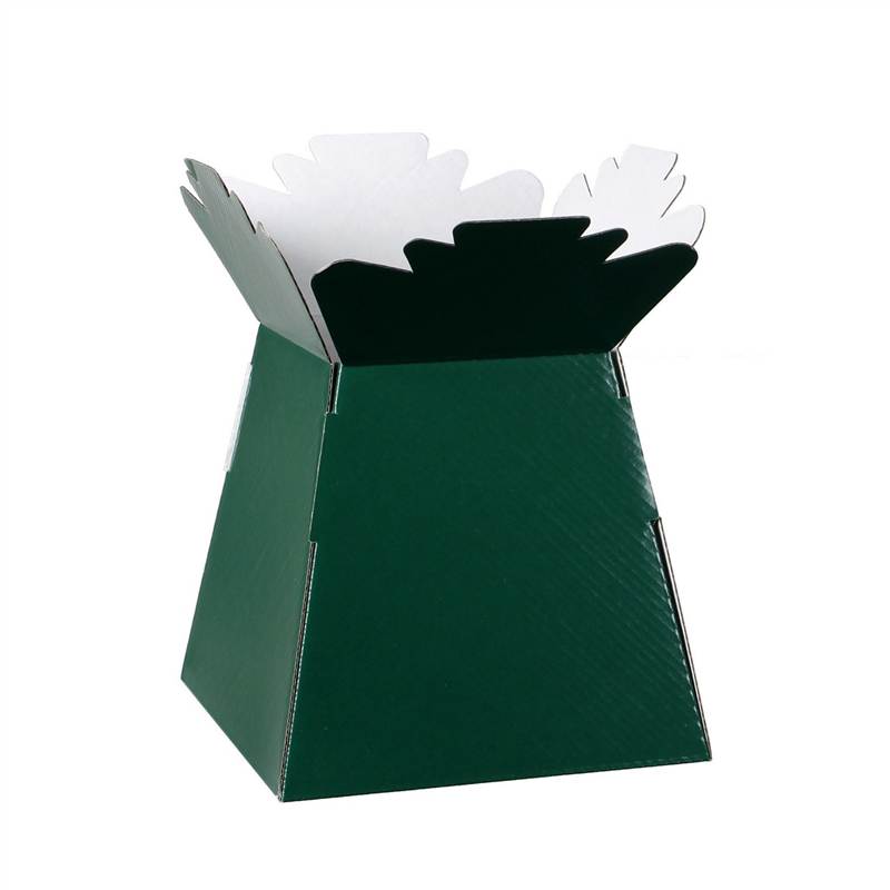 5, 10, 30 Living Vase / Transporter Box All Colours eBay