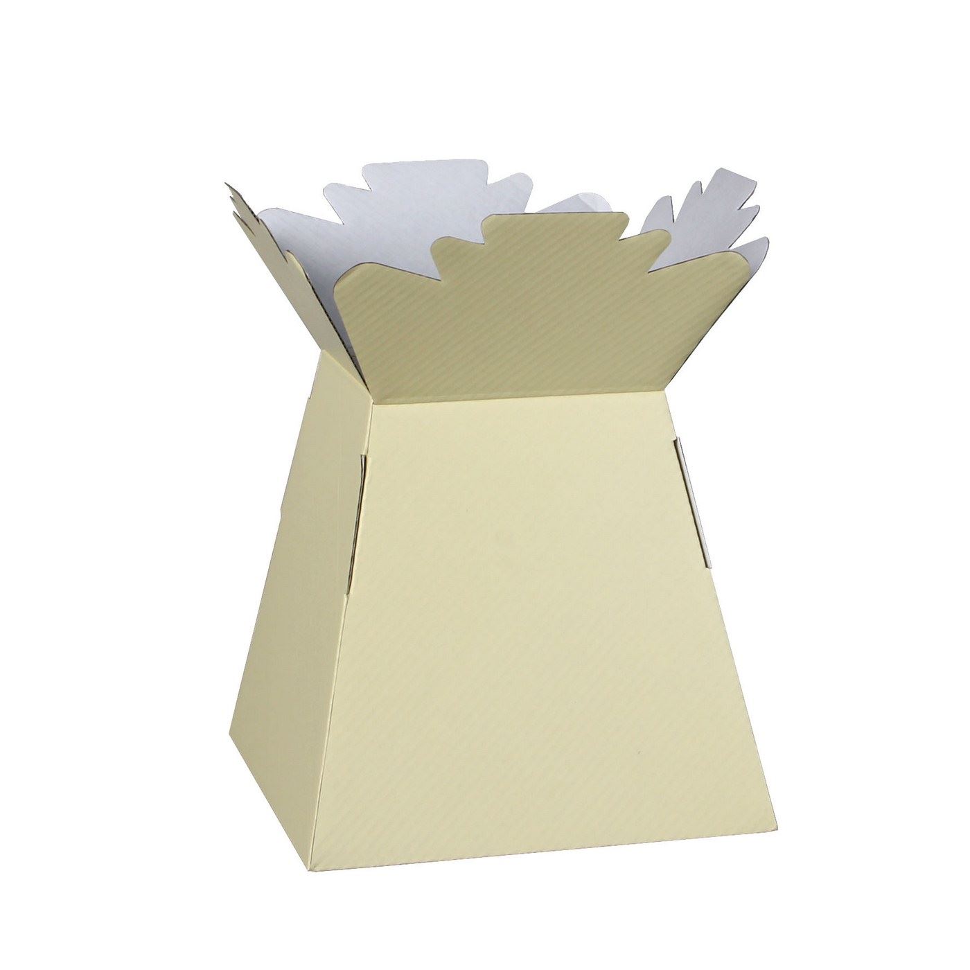 5, 10, 30 Living Vase / Transporter Box All Colours eBay