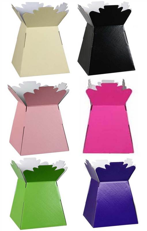 5, 10, 30 Living Vase / Transporter Box All Colours eBay