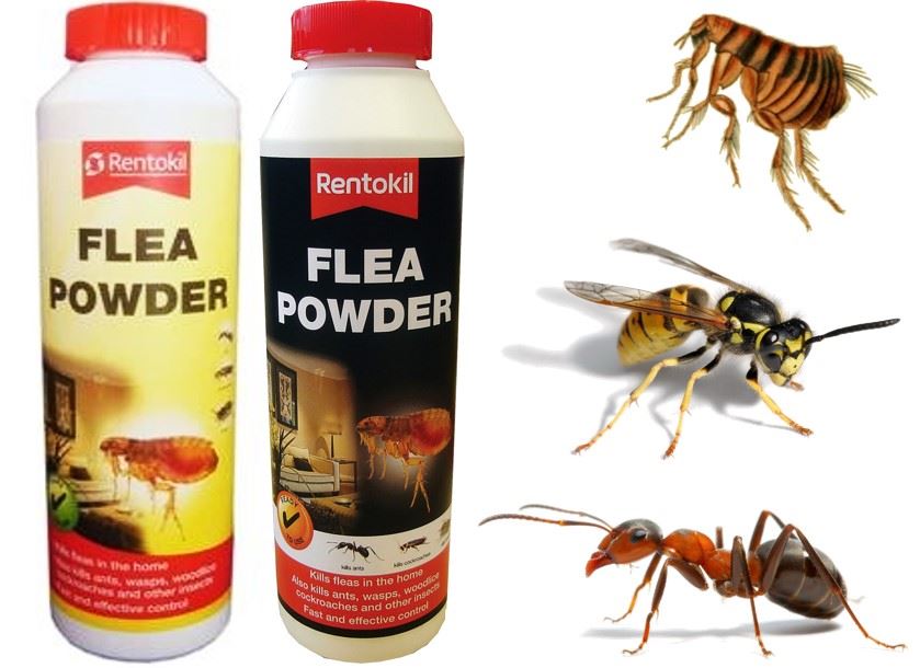 Rentokil Flea Powder Cat & Dog Pest Control Ant Wasp Killer Insect
