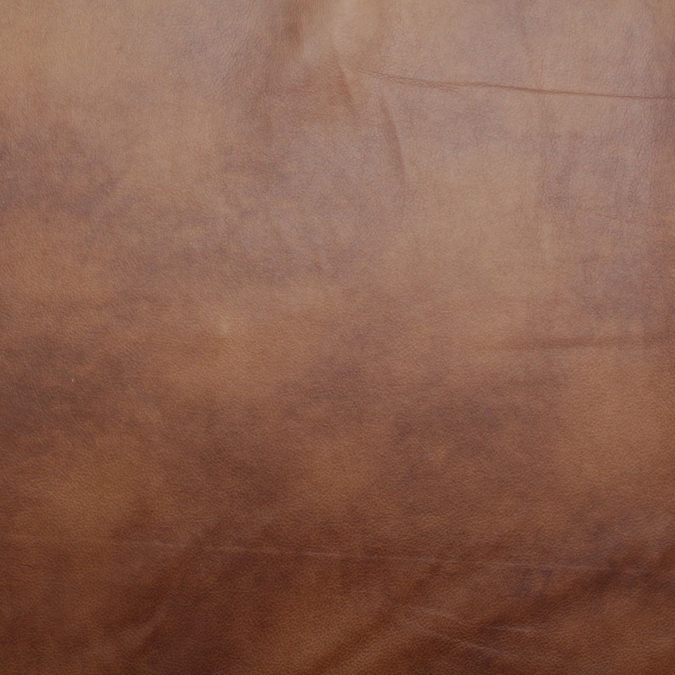 Picture 35 of 35