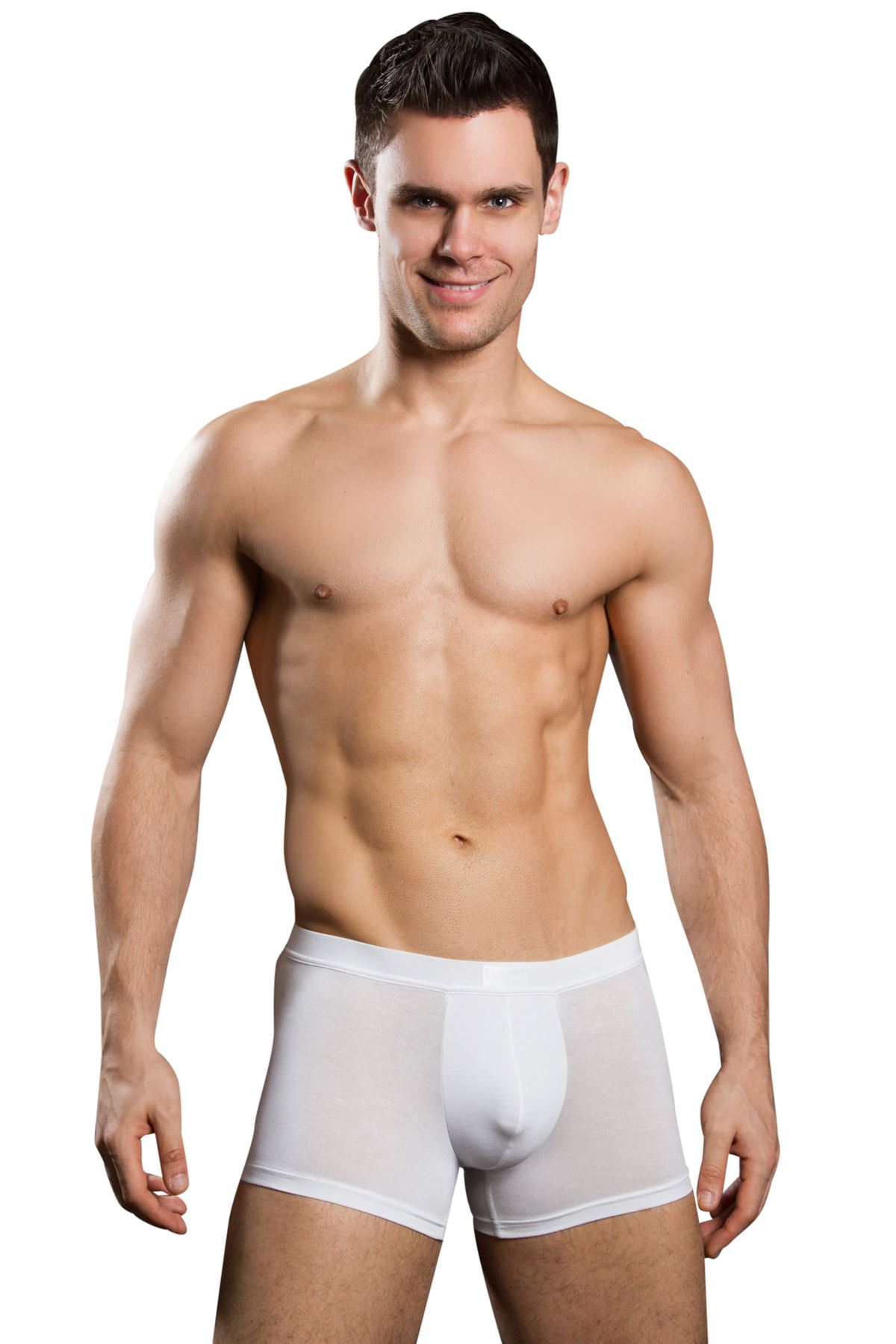 HOM Silk Soft Comfort Boxer Brief Short Trunk Men's Luxury Underwear eBay