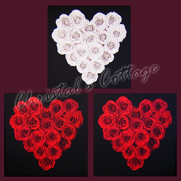 Set of 3 Quality Wooden Frame Canvas Wall Art Decoration Picture 30cm Flowers - Picture 2 of 4