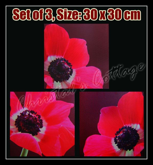 Set of 3 Quality Wooden Frame Canvas Wall Art Decoration Picture 30cm Flowers - Picture 3 of 4