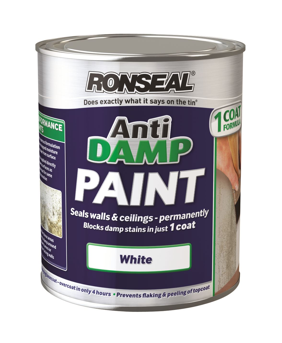 Can I Use A Paint Stain In Ronseal Damp Paint Can I Use A Paint Stain In Ronseal Damp Paint