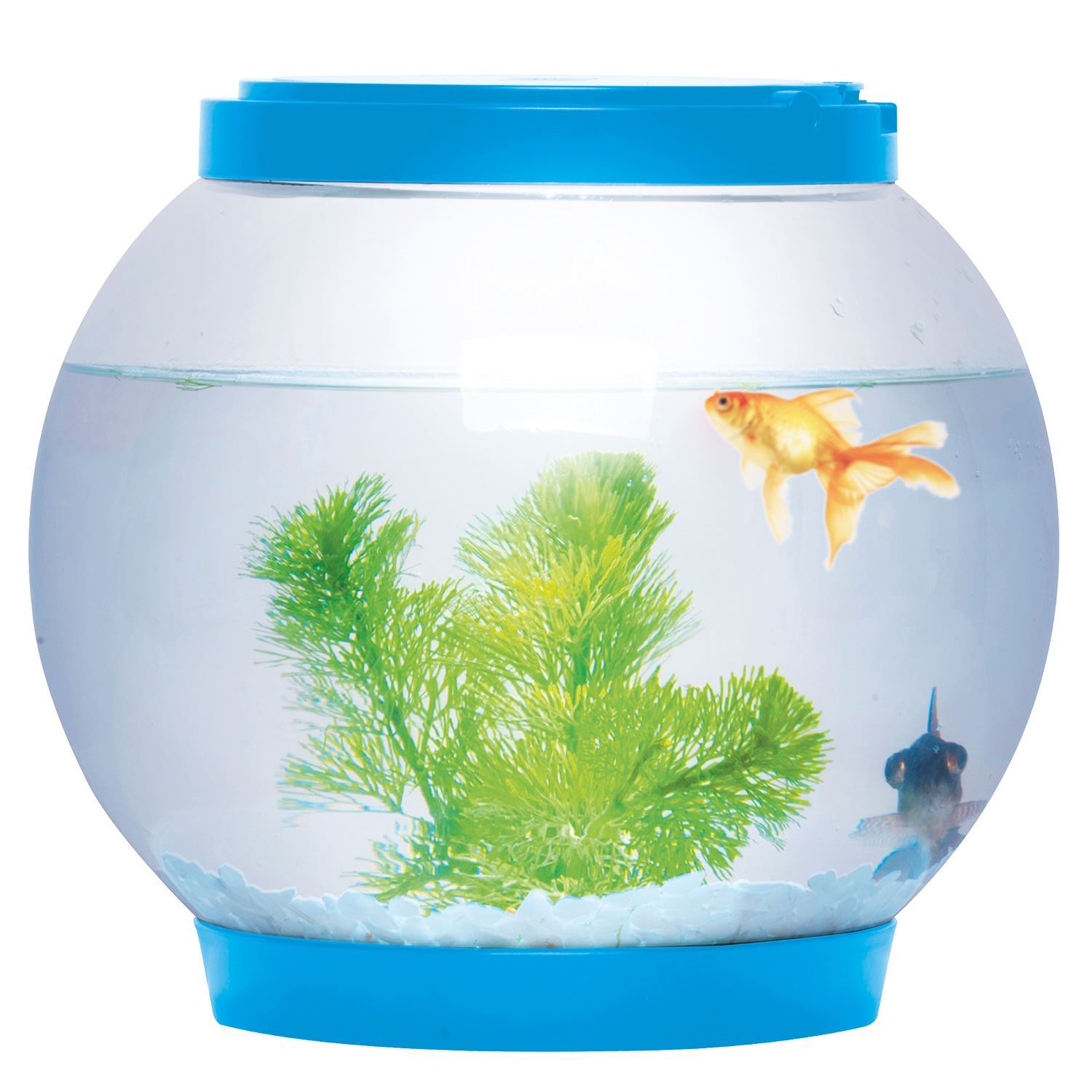 5 LITRE GLASS FISH TANK BOWL AQUARIUM WATER HOME OFFICE DESKTOP