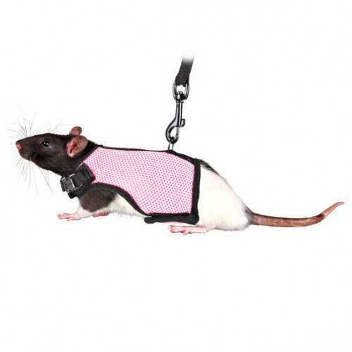 SOFT MESH RAT HARNESS VEST WITH LEAD FOR WALKS TRAINING VARIOUS