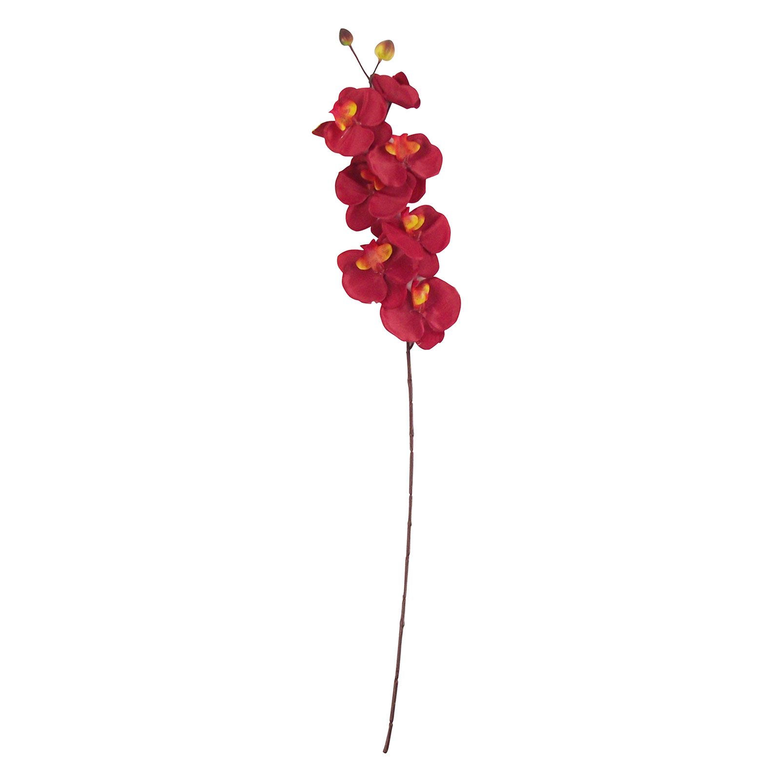 Long Stemmed Eco Orchid Stem Artificial Fake Flowers Phalaenopsis