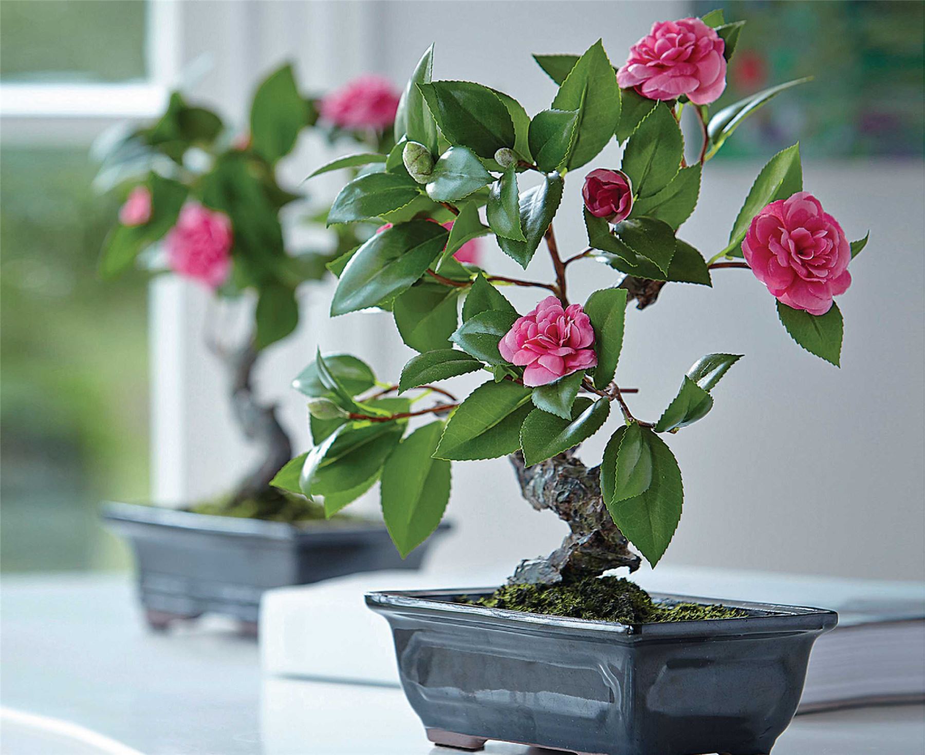 Bloom Camellia Flowering Bonsai Artificial Glazed OrientalStyle