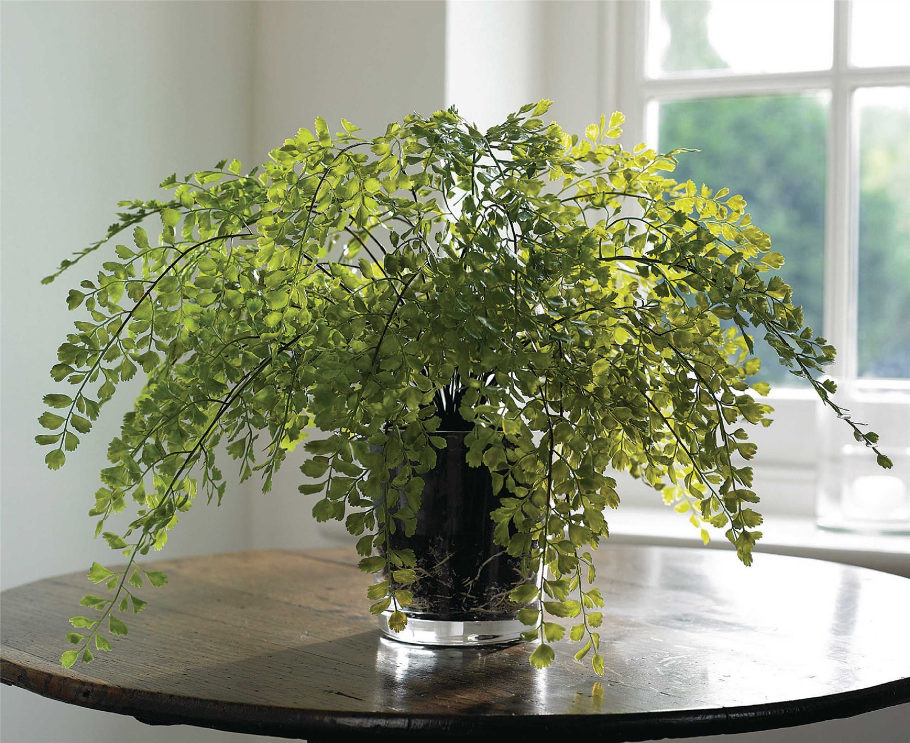 Potted Maidenhair Fern Artificial Flower Silk Plant Home Decoration