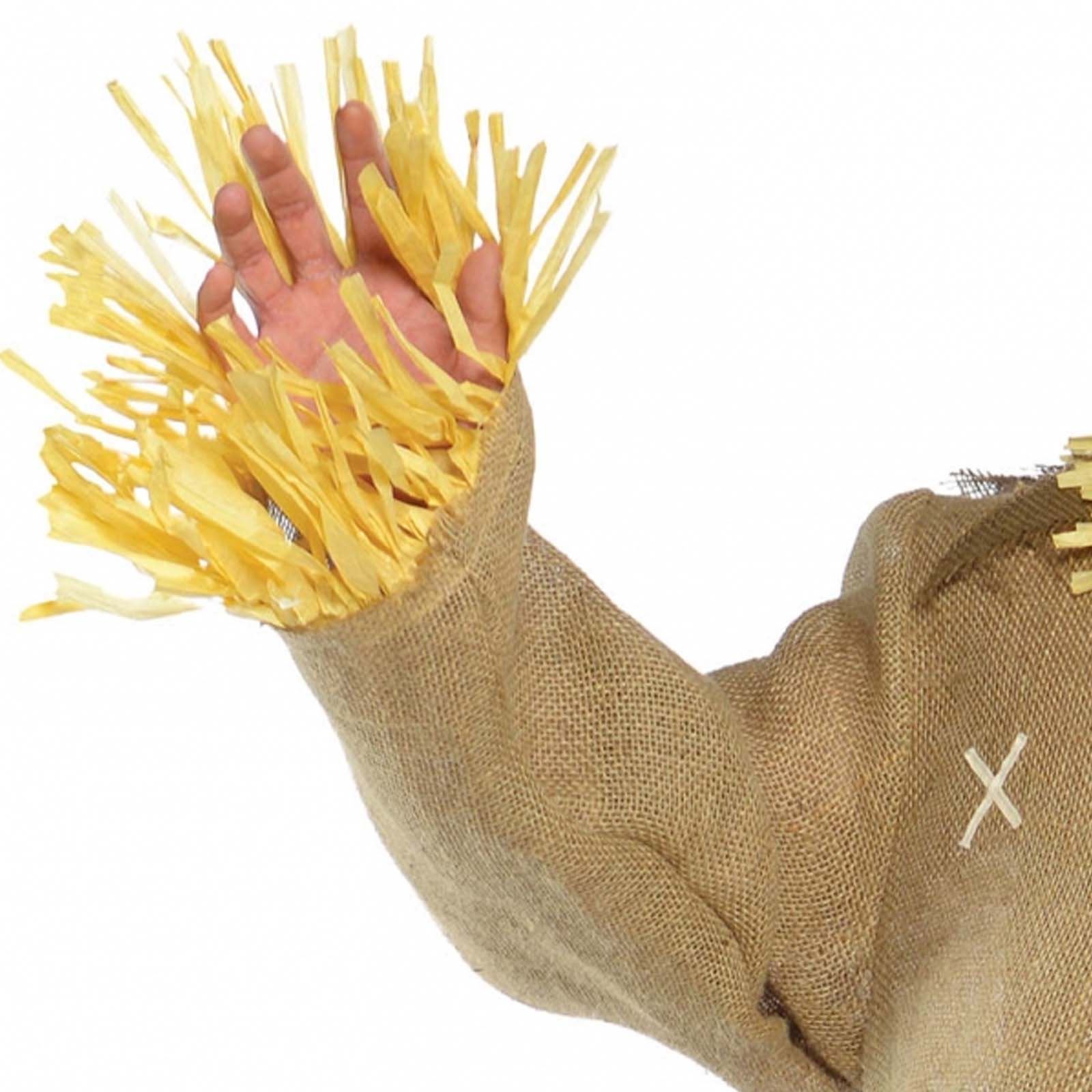 Adults Mens Scarecrow Straw Man Outfit Fancy Dress Up Party Halloween